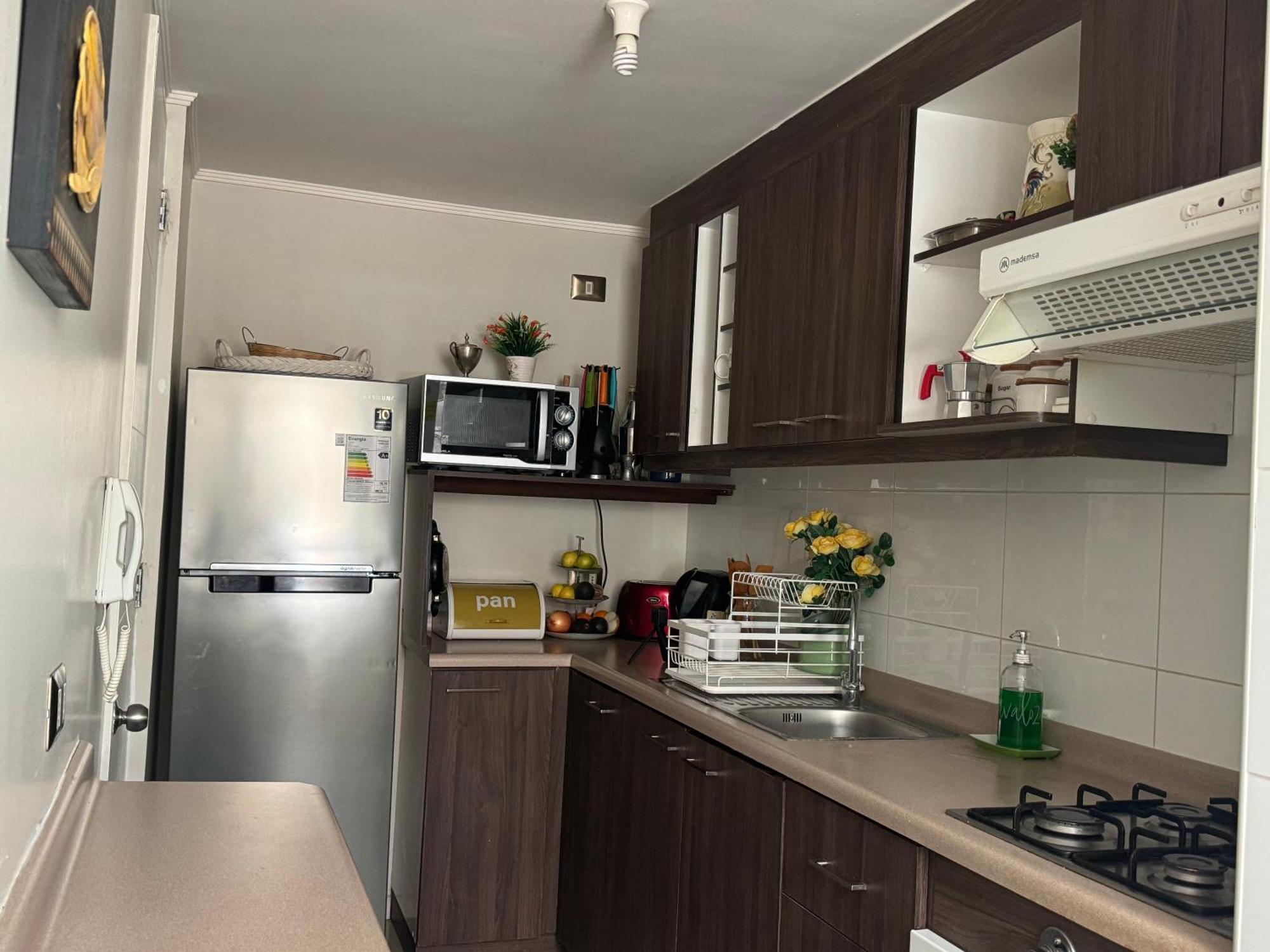 Decher Apartment - Puerto Varas Ngoại thất bức ảnh